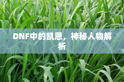 DNF中的凯恩图片