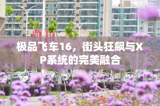 街头狂飙与XP系统的完美融合图片