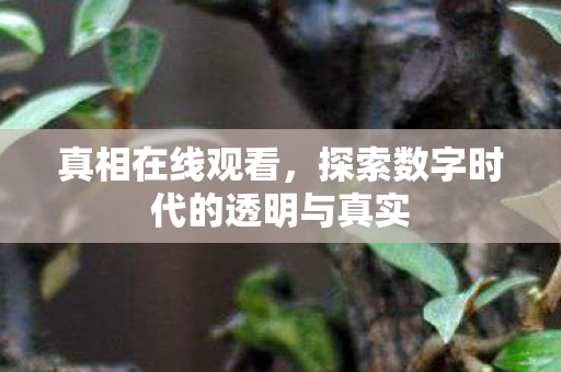 探索数字时代的透明与真实图片