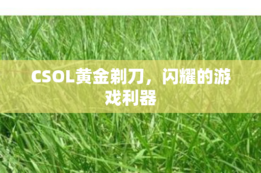 CSOL黄金剃刀图片