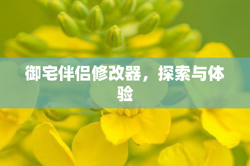 御宅伴侣修改器图片