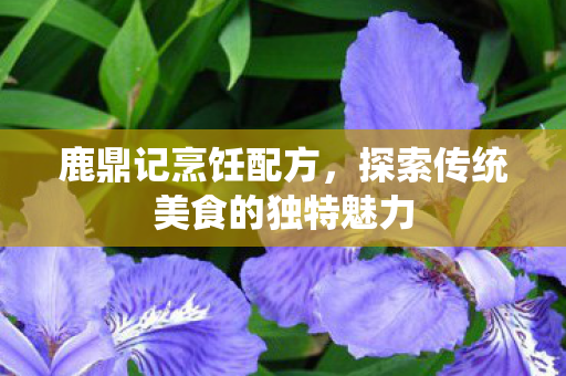 探索传统美食的独特魅力图片
