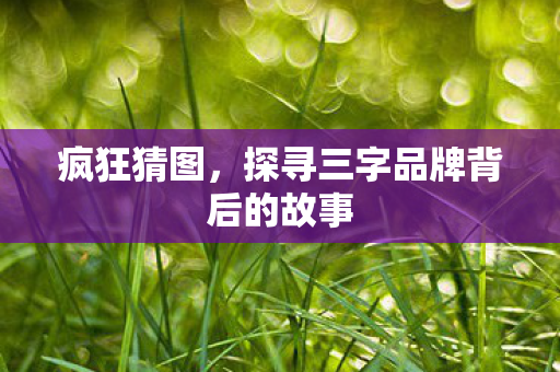 探寻三字品牌背后的故事图片