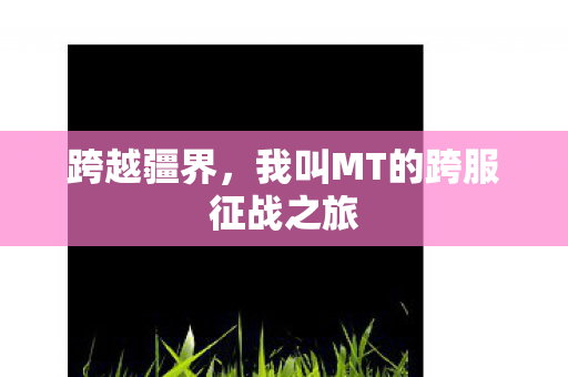 我叫MT的跨服征战之旅图片