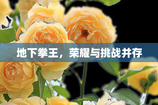 荣耀与挑战并存图片