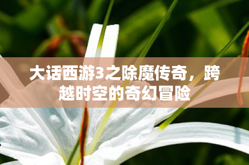 大话西游3之除魔传奇图片