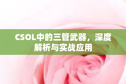 CSOL中的三管武器图片
