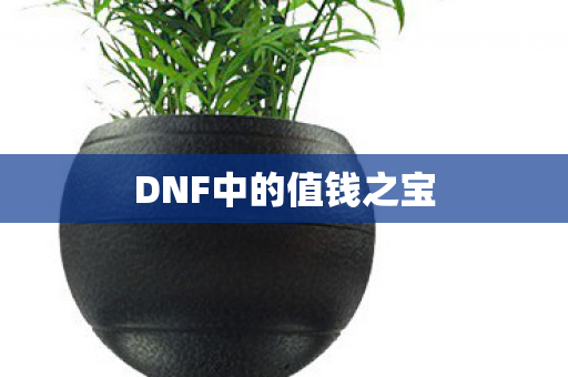DNF中的值钱之宝图片