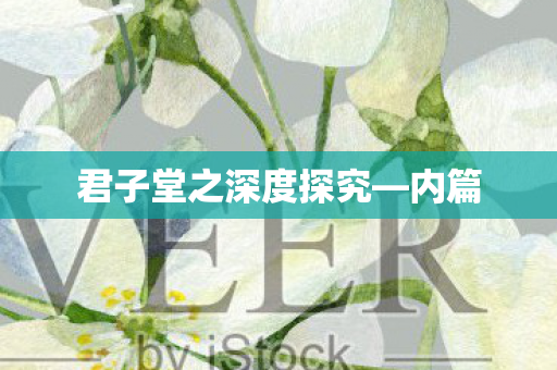 君子堂之深度探究图片