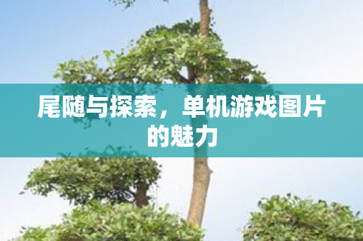 单机游戏图片的魅力图片