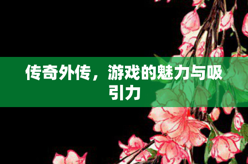 游戏的魅力与吸引力图片