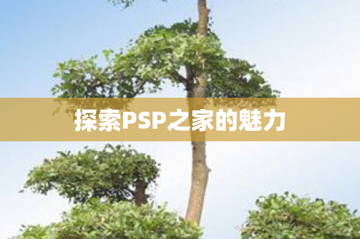 探索PSP之家的魅力图片
