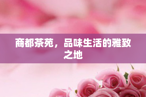 品味生活的雅致之地图片