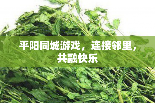平阳同城游戏图片
