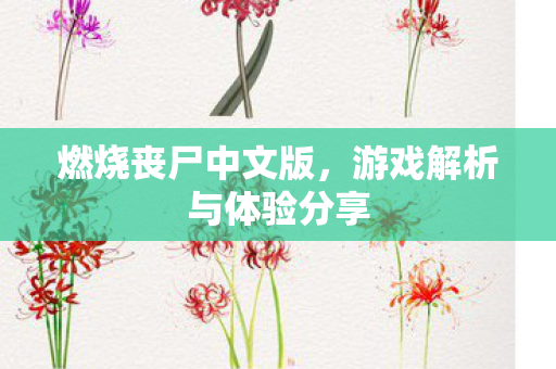 游戏解析与体验分享图片