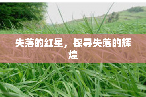 探寻失落的辉煌图片