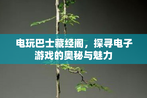 探寻电子游戏的奥秘与魅力图片