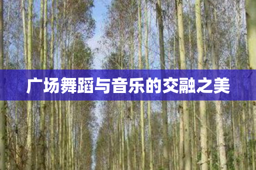 广场舞蹈与音乐的交融之美图片