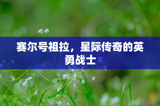 星际传奇的英勇战士图片