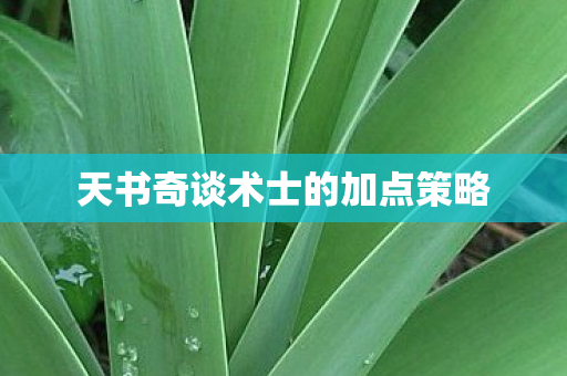 天书奇谈术士的加点策略图片