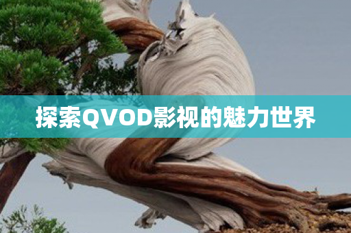 探索QVOD影视的魅力世界图片