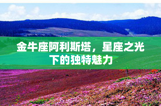 星座之光下的独特魅力图片