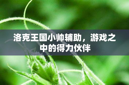 游戏之中的得力伙伴图片