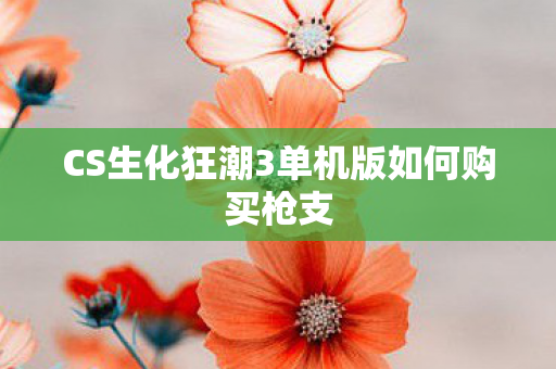 CS生化狂潮3单机版如何购买枪支图片