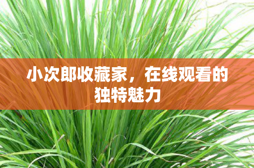 在线观看的独特魅力图片
