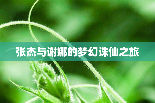 张杰与谢娜的梦幻诛仙之旅图片