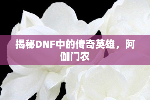 揭秘DNF中的传奇英雄图片