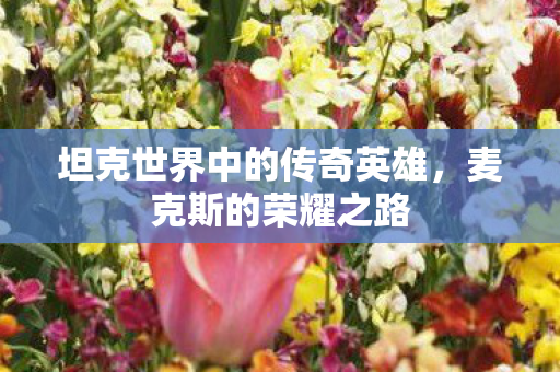 坦克世界中的传奇英雄图片