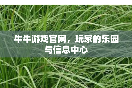 玩家的乐园与信息中心图片