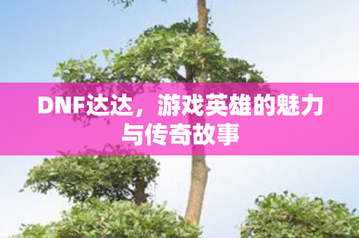 游戏英雄的魅力与传奇故事图片