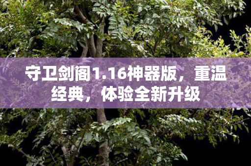 体验全新升级图片