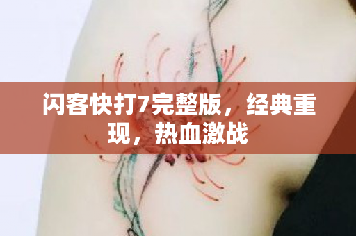 闪客快打7完整版图片