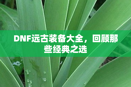 DNF远古装备大全图片
