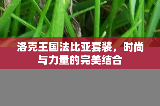 时尚与力量的完美结合图片