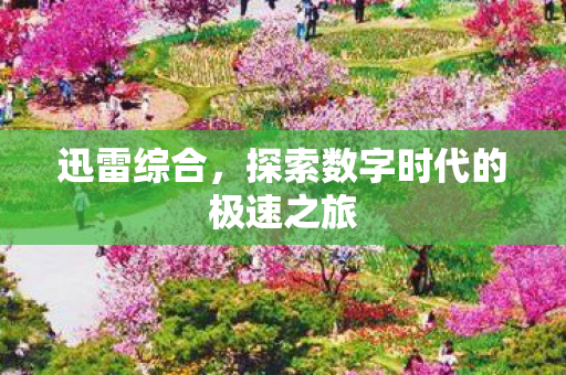 探索数字时代的极速之旅图片