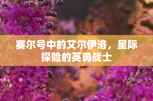 赛尔号中的艾尔伊洛图片