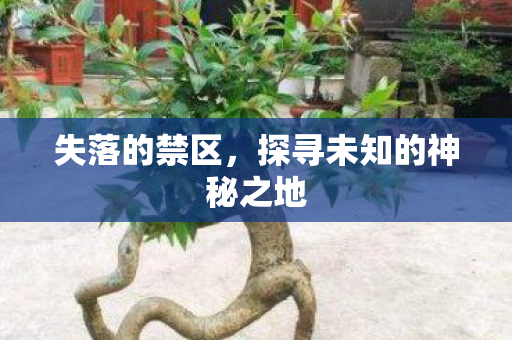 探寻未知的神秘之地图片
