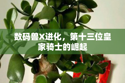 第十三位皇家骑士的崛起图片