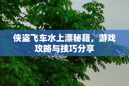 侠盗飞车水上漂秘籍图片