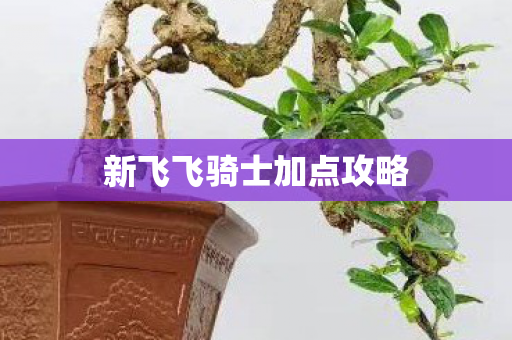 新飞飞骑士加点攻略图片