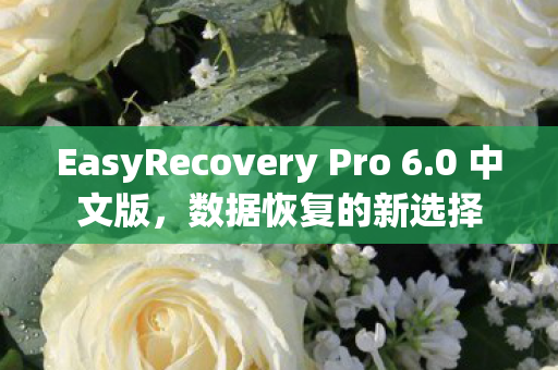 EasyRecovery Pro 6图片