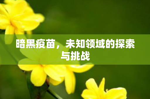 未知领域的探索与挑战图片