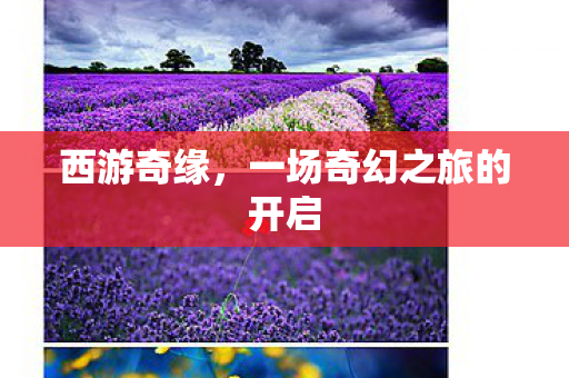 一场奇幻之旅的开启图片