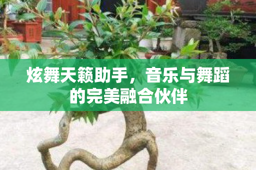 音乐与舞蹈的完美融合伙伴图片