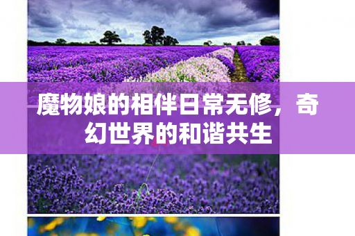 魔物娘的相伴日常无修图片