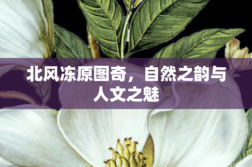 自然之韵与人文之魅图片